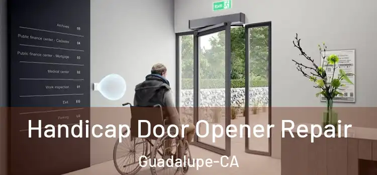  Handicap Door Opener Repair Guadalupe-CA